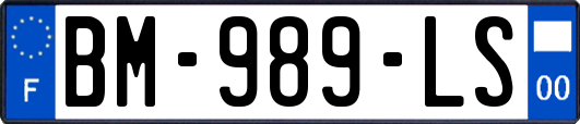 BM-989-LS