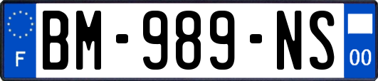 BM-989-NS