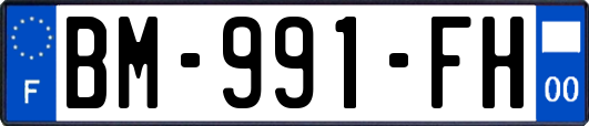 BM-991-FH