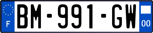 BM-991-GW