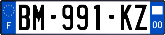 BM-991-KZ