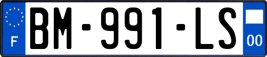 BM-991-LS