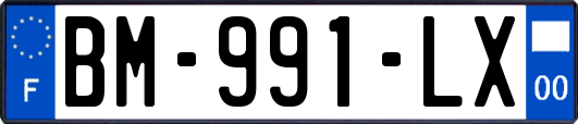 BM-991-LX