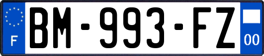 BM-993-FZ
