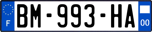 BM-993-HA