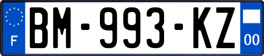 BM-993-KZ