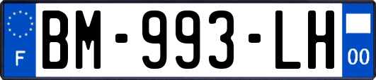 BM-993-LH