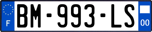 BM-993-LS