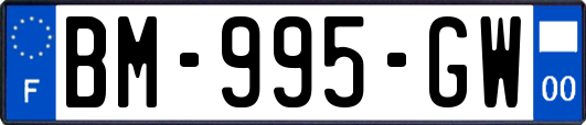 BM-995-GW