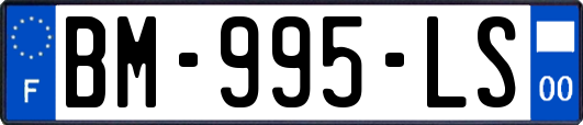 BM-995-LS