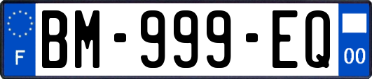 BM-999-EQ