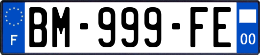 BM-999-FE