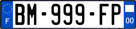 BM-999-FP