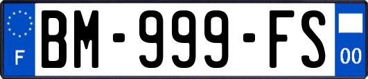 BM-999-FS