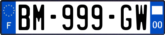 BM-999-GW