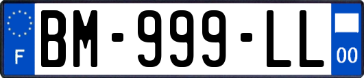 BM-999-LL
