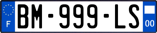 BM-999-LS