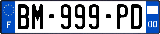 BM-999-PD