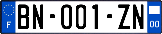 BN-001-ZN