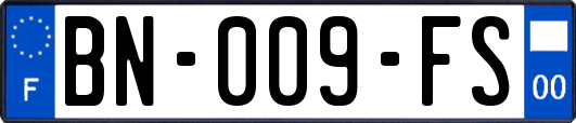BN-009-FS