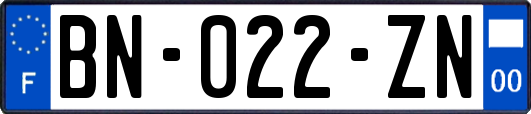 BN-022-ZN