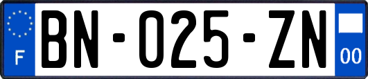 BN-025-ZN