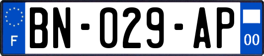 BN-029-AP