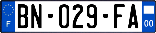 BN-029-FA