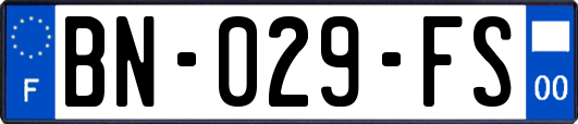 BN-029-FS