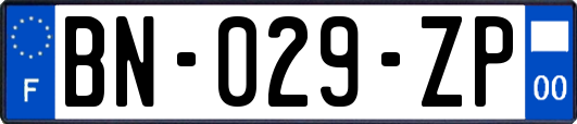 BN-029-ZP