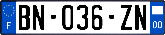 BN-036-ZN