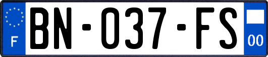 BN-037-FS