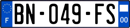 BN-049-FS