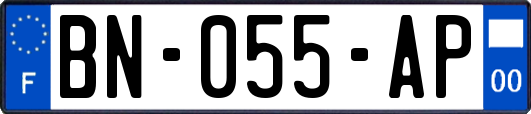 BN-055-AP