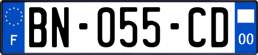BN-055-CD
