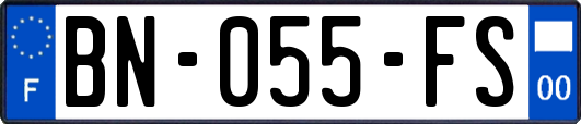 BN-055-FS
