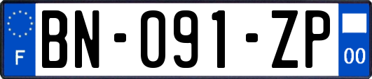 BN-091-ZP