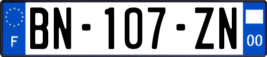 BN-107-ZN