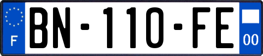 BN-110-FE