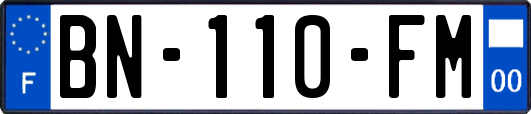 BN-110-FM