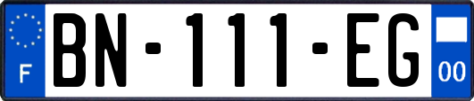 BN-111-EG