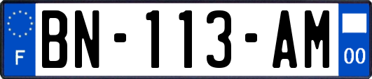 BN-113-AM