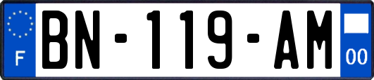 BN-119-AM