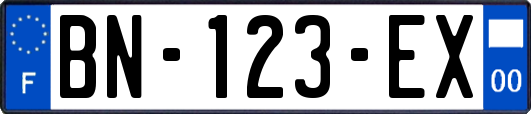 BN-123-EX