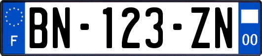 BN-123-ZN