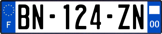 BN-124-ZN