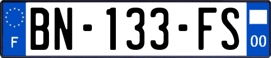 BN-133-FS