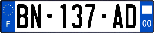 BN-137-AD