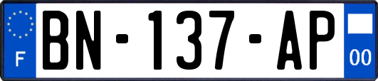 BN-137-AP