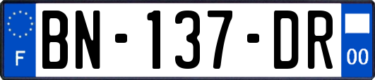 BN-137-DR